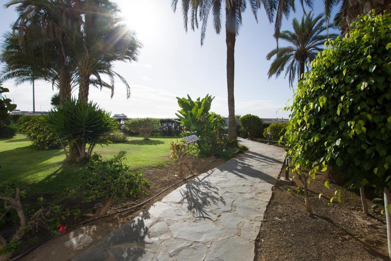 דירות Arguineguin La Lajilla Beach Flat מראה חיצוני תמונה